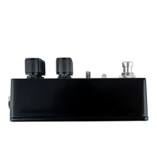 Load image into Gallery viewer, THORN SOUNDLAB BASSTARD Effects Pedal | Flex BASS Overdrive