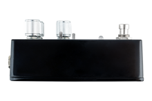 Load image into Gallery viewer, THORN SOUNDLAB BLACK SWAMP Effects Pedal | Flex Fuzz
