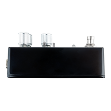 Load image into Gallery viewer, THORN SOUNDLAB BLACK SWAMP Effects Pedal | Flex Fuzz