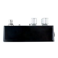 Load image into Gallery viewer, THORN SOUNDLAB BLACK SWAMP Effects Pedal | Flex Fuzz
