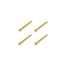 Load image into Gallery viewer, Framus & Warwick - Screws for Pickup Mounting, 4 pieces