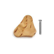 Load image into Gallery viewer, Warwick Parts - Wooden Pegs for Warwick Machineheads