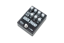 Load image into Gallery viewer, THORN SOUNDLAB BLACK SWAMP Effects Pedal | Flex Fuzz
