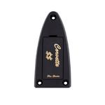 Load image into Gallery viewer, Truss Rod Cover - Pro Serie Corvette $$
