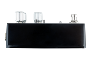 THORN SOUNDLAB BLACK SWAMP Effects Pedal | Flex Fuzz