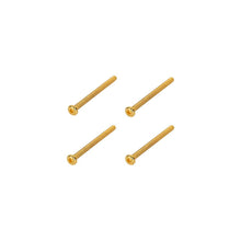 Load image into Gallery viewer, Framus &amp; Warwick - Screws for Pickup Mounting, 4 pieces
